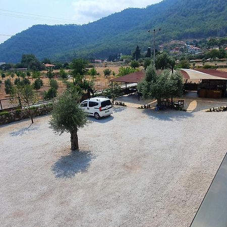 Olive Tree Apart Hotel Muğla Ngoại thất bức ảnh