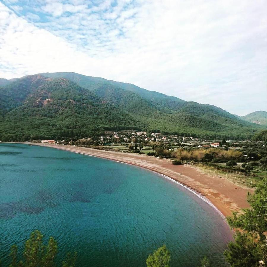 Olive Tree Apart Hotel Muğla Ngoại thất bức ảnh