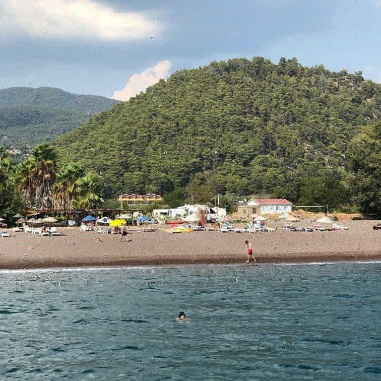 Olive Tree Apart Hotel Muğla Ngoại thất bức ảnh