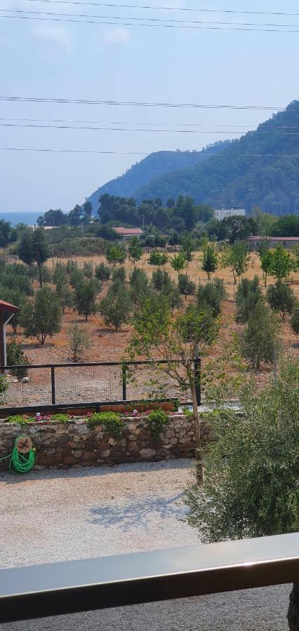 Olive Tree Apart Hotel Muğla Ngoại thất bức ảnh